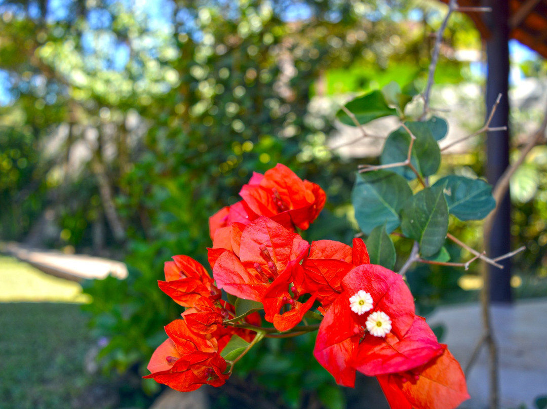 Pousada Da Serra主图