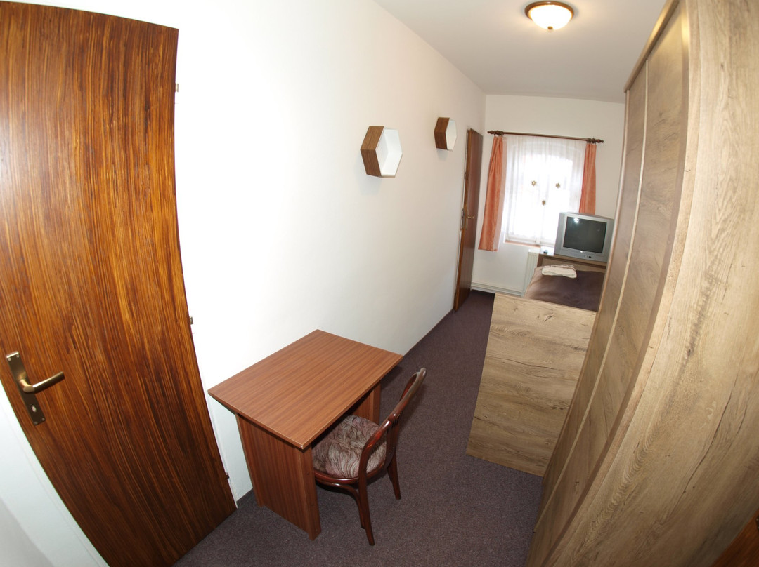 Penzion V Horach主图