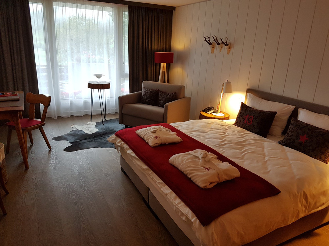 Albinen酒店住宿-Hotel Alfa