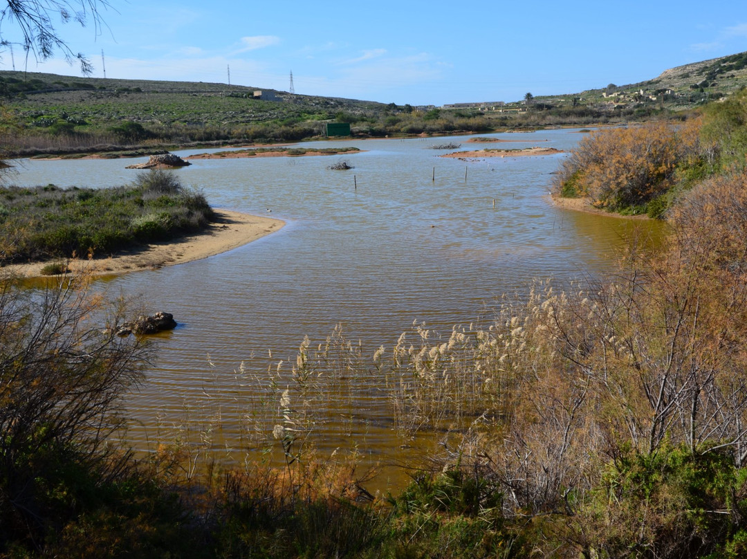 Għadira Nature Reserve景点图片