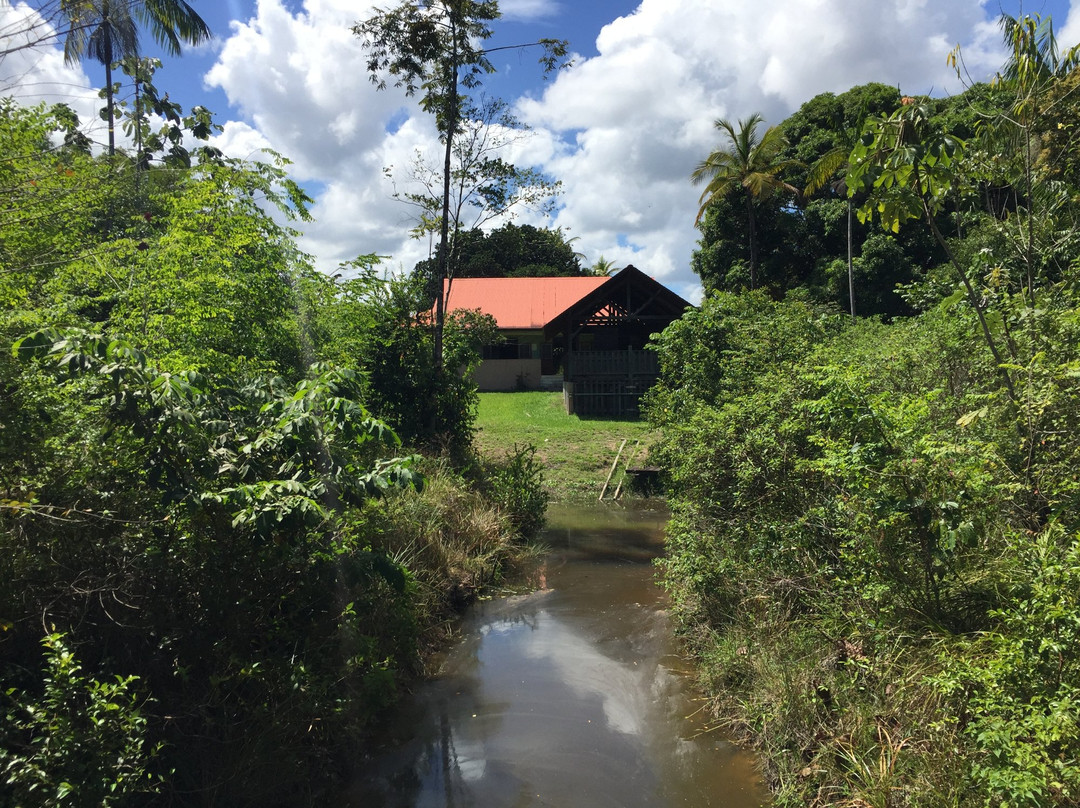 Sinnamary旅游攻略图片