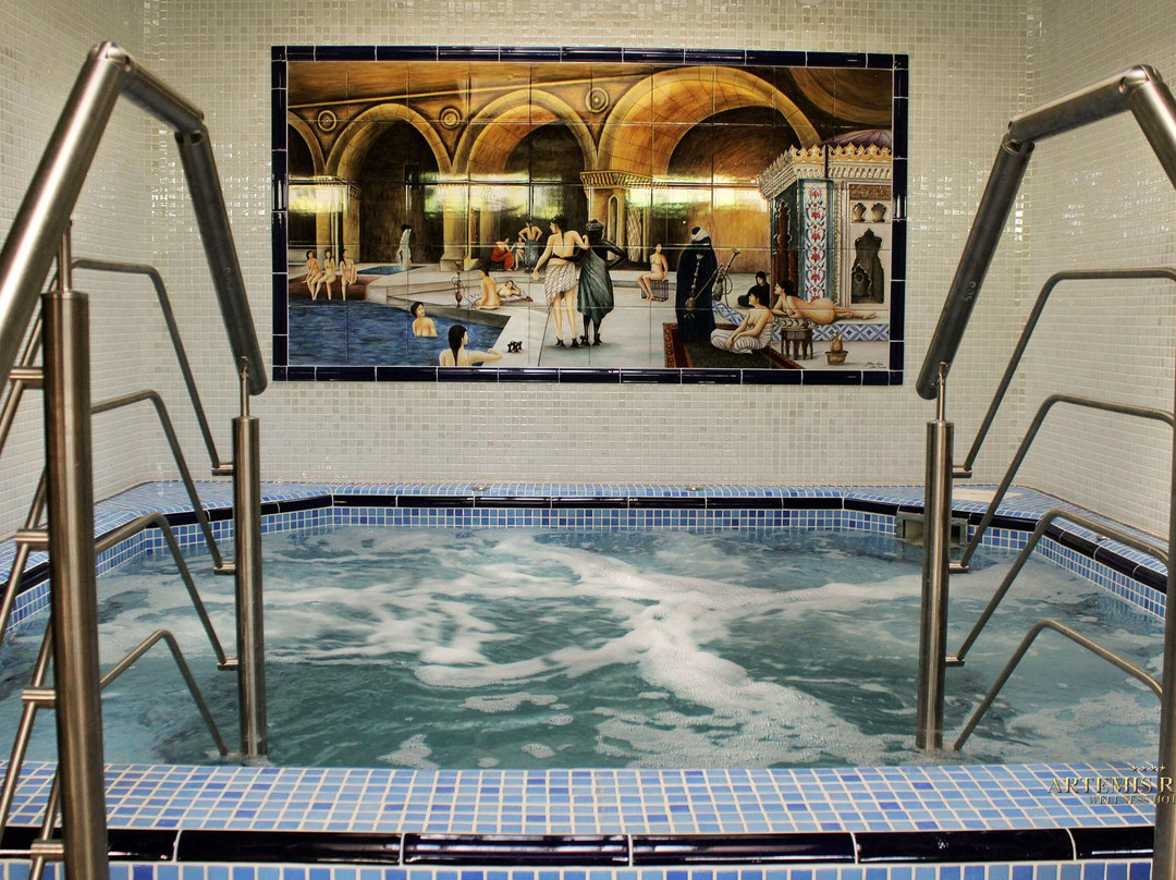 Artemis Resort Wellness Hotel主图