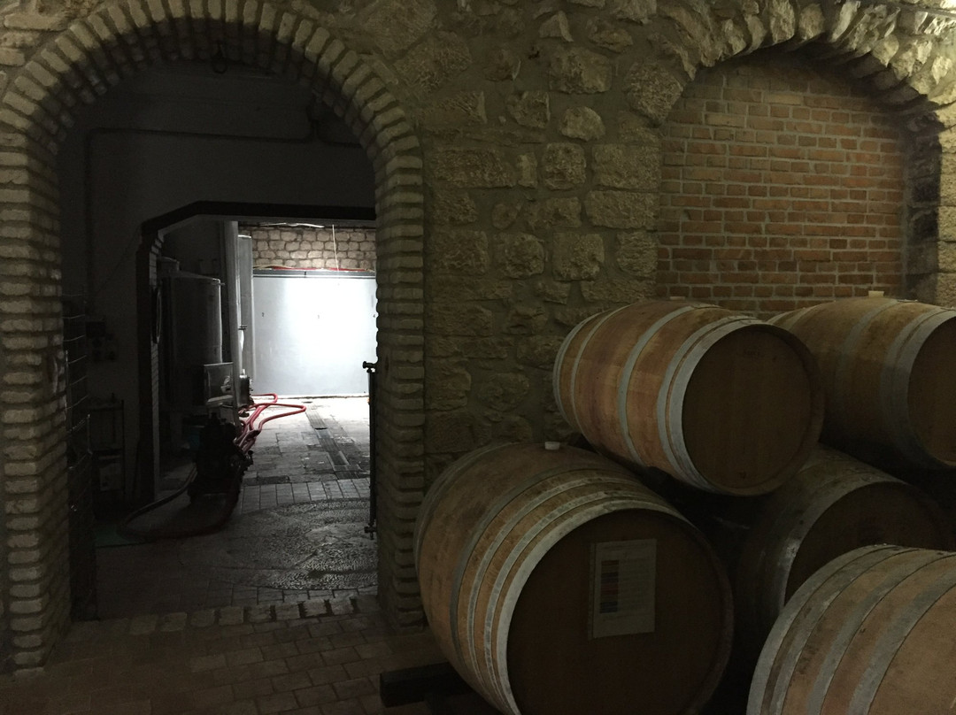 Cantine Foschini景点图片
