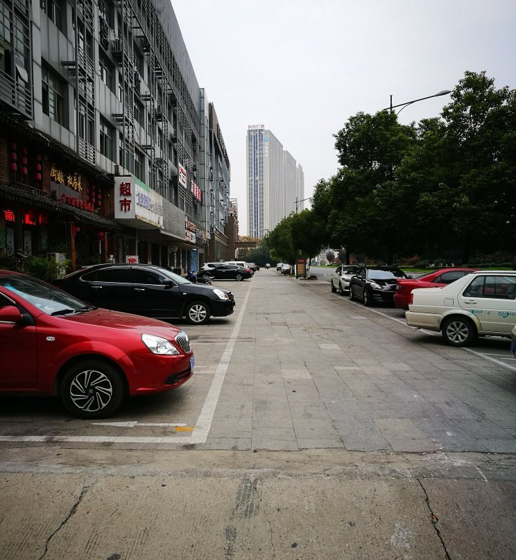 朋生雅居大酒店主图