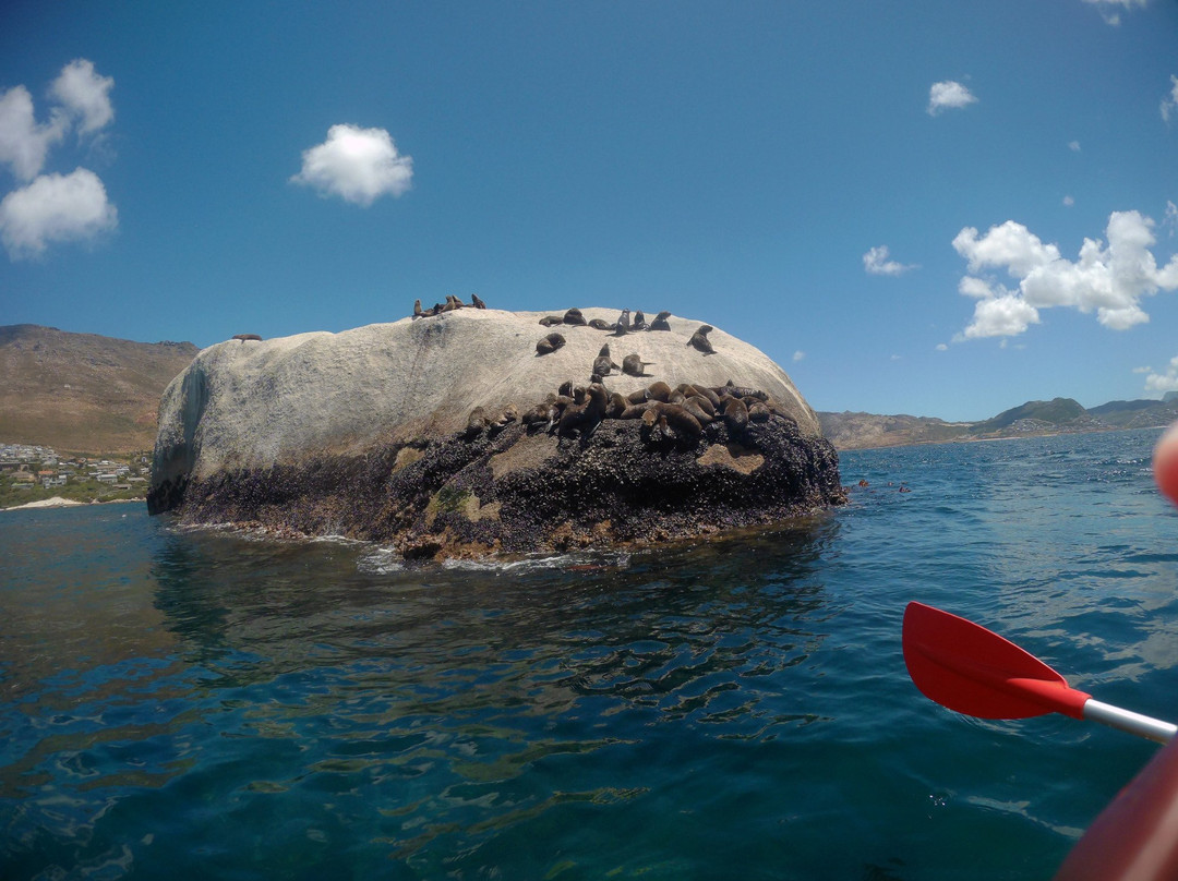 Shark Warrior Adventures-西门镇必去景点