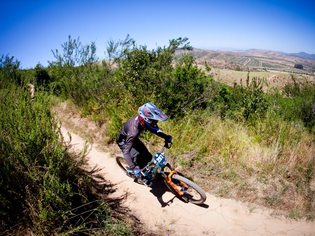Parque Las Palmas-Cartagena必去景点