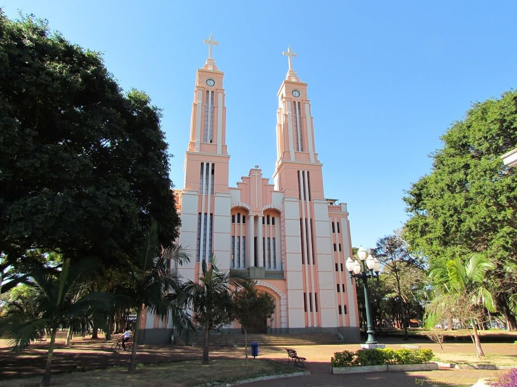 Catedral Sao Jose景点图片