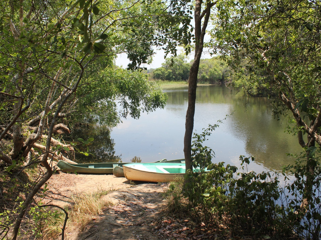 Luwombwa Lodge