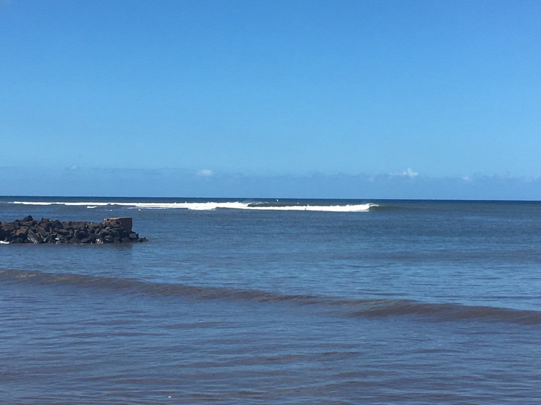 Sunrise Surf Lessons-基拉韦厄必去景点