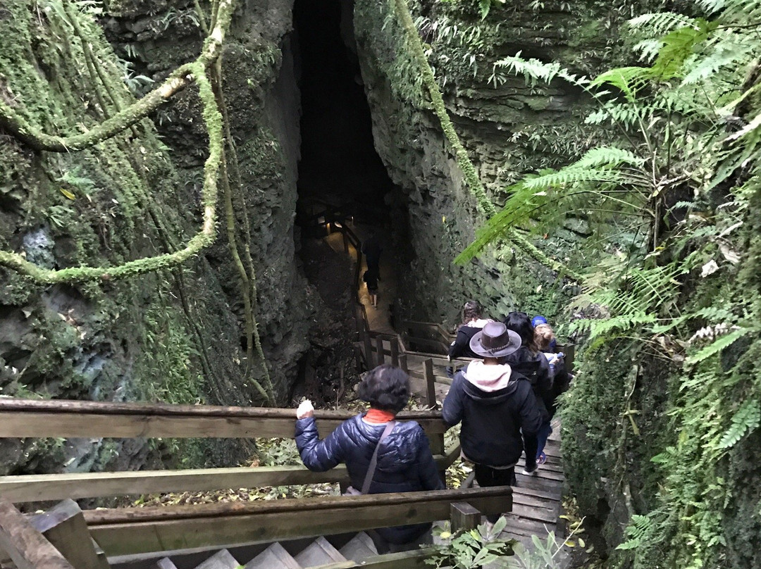 洞穴世界-怀托摩洞穴必去景点