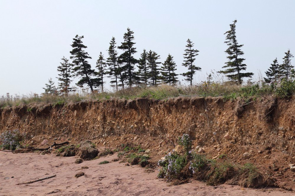 Cabots Landing Provincial Park景点图片