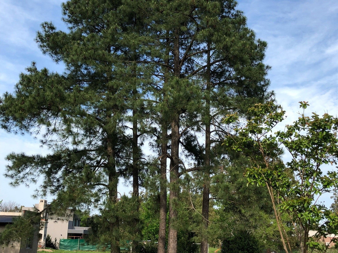 Parque las Naciones-Guernica必去景点