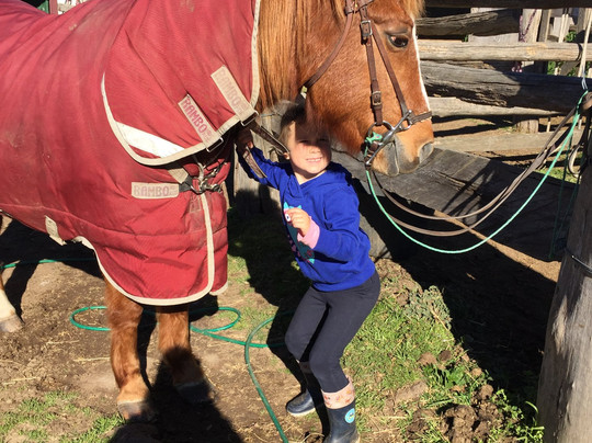 Harlow Park Horse Riding - Private Rides-Uralla必去景点