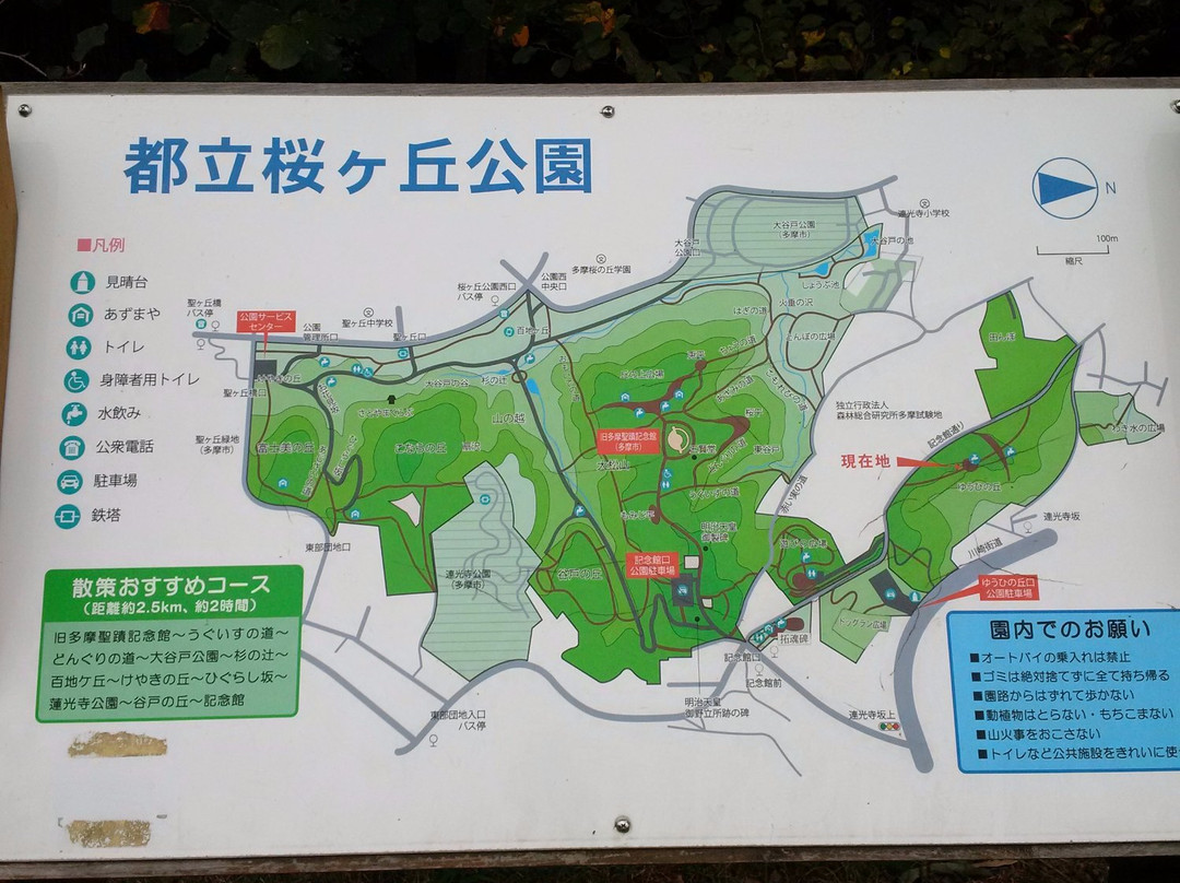 Sakuragaoka Park景点图片