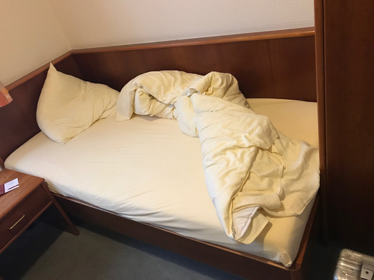 普芬尼伽斯库格酒店主图