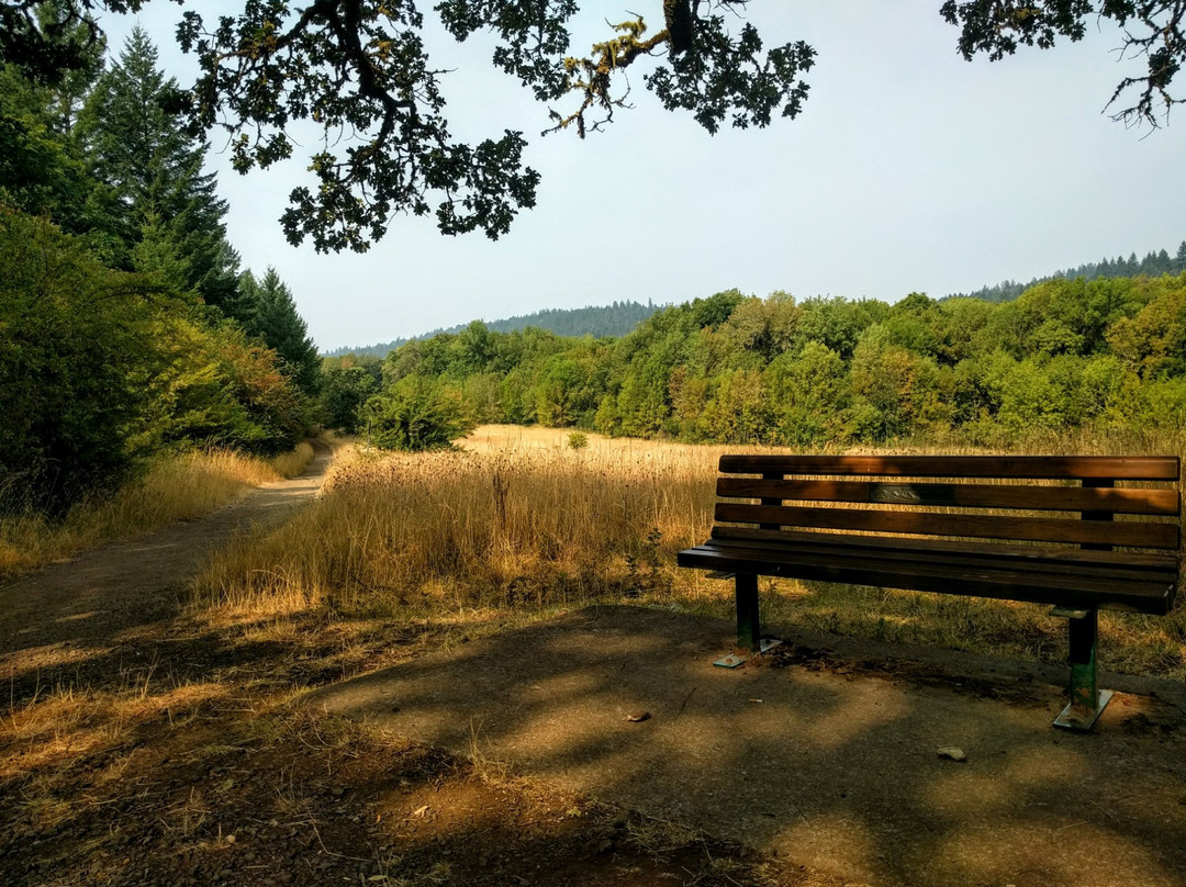 Bald Hill Natural Area-科瓦利斯必去景点