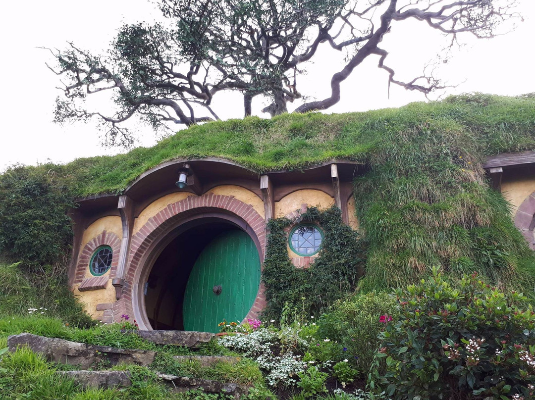 Headfirst Travel - Waitomo Wanderer-怀托摩洞穴必去景点