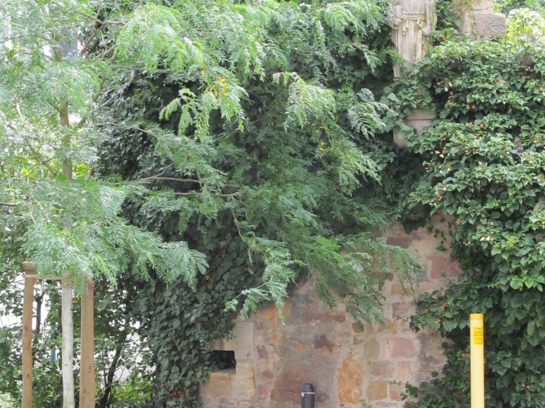 Petersberg旅游攻略图片