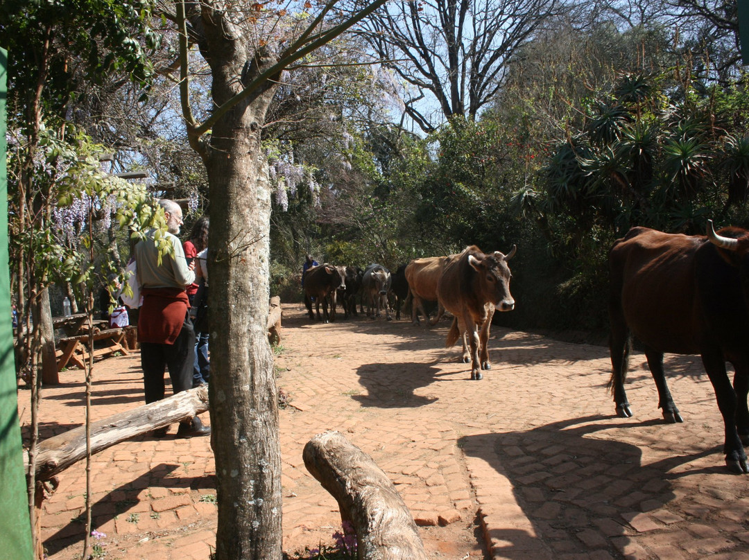 Q&M Tours-参宁必去景点