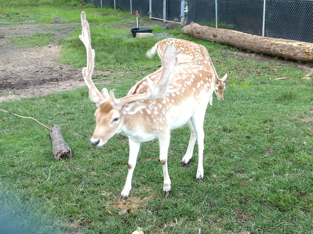 Johnson Park-皮斯卡特维必去景点