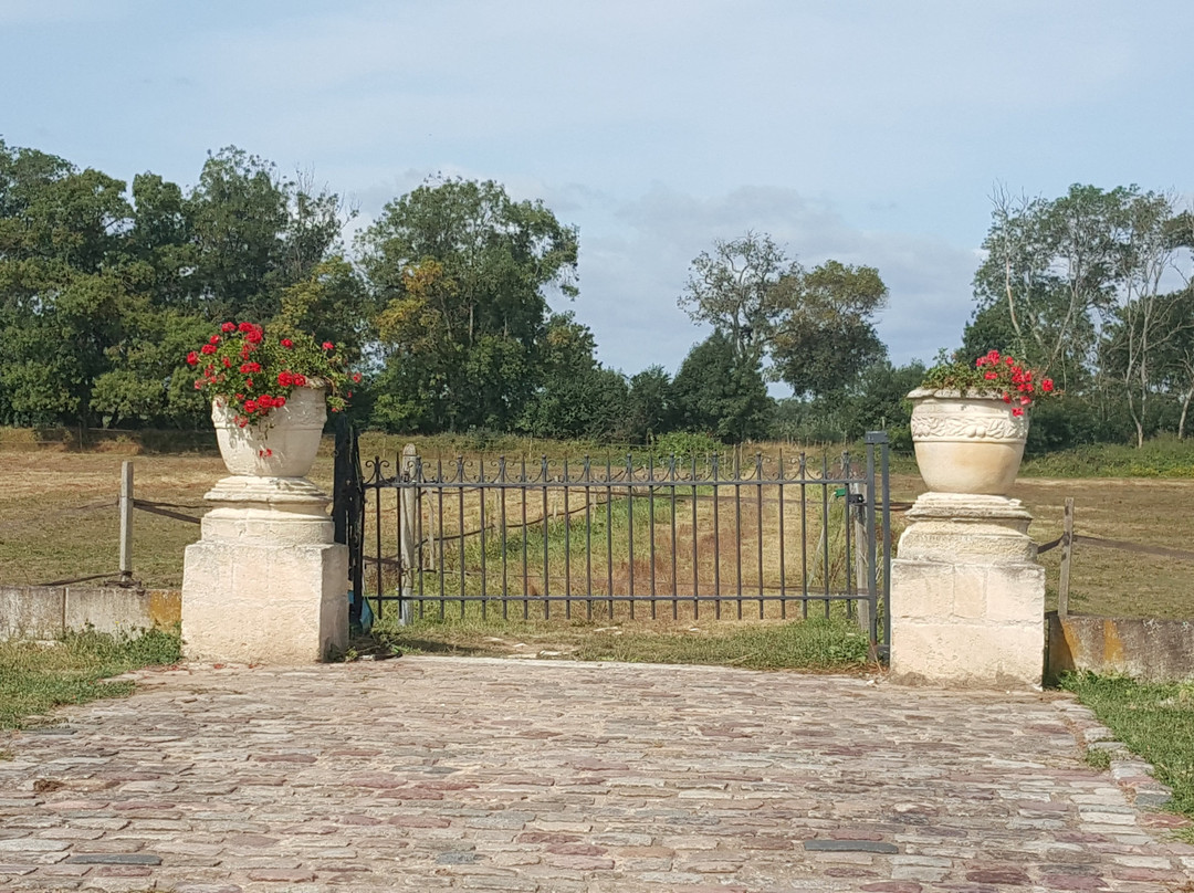 Château Marquis de Vauban景点图片