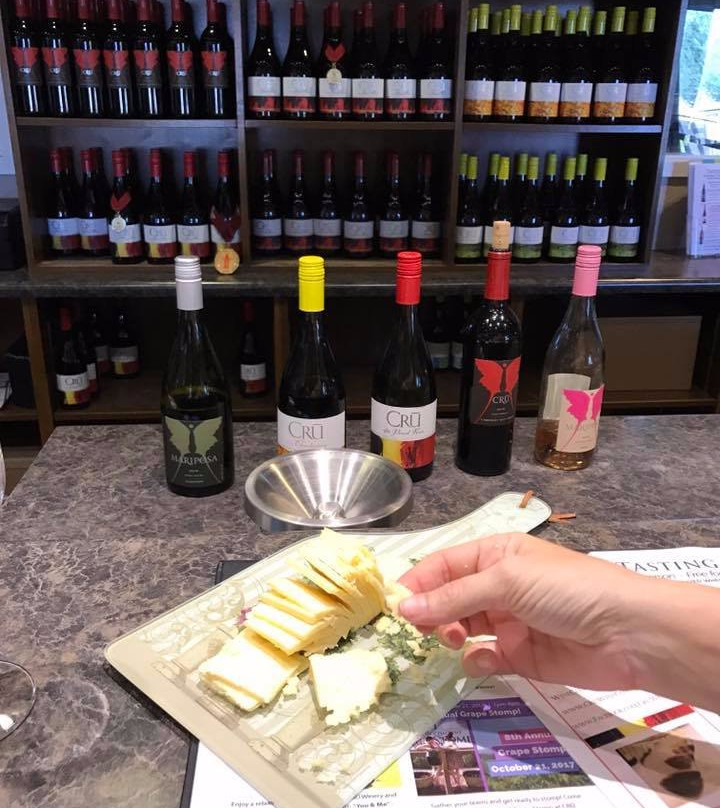 Cru Wine Company-马德拉必去景点