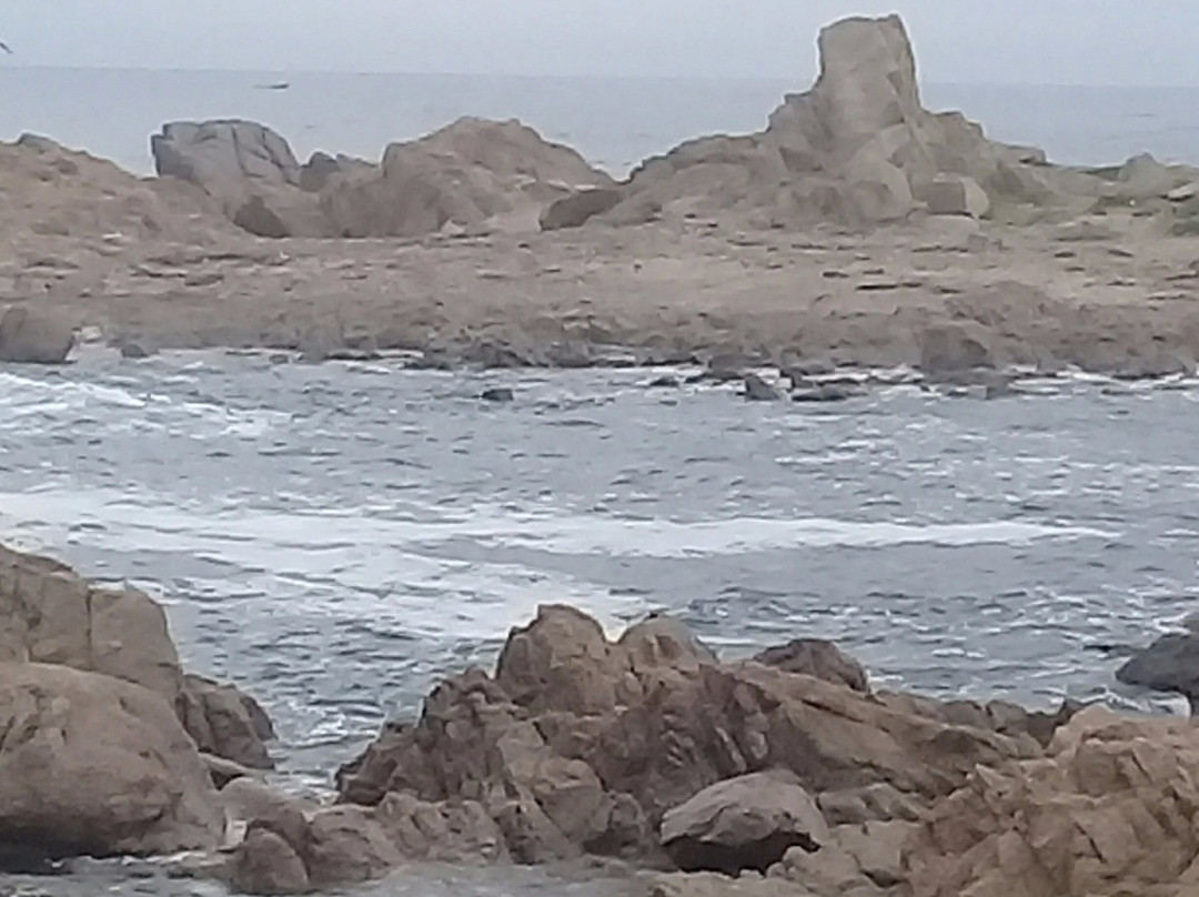 Caleta el Quisco景点图片
