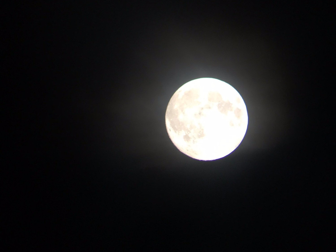 Ginga no Mori Astronomical Observatory-陆别町必去景点