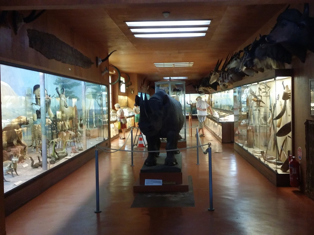 Musée Africain