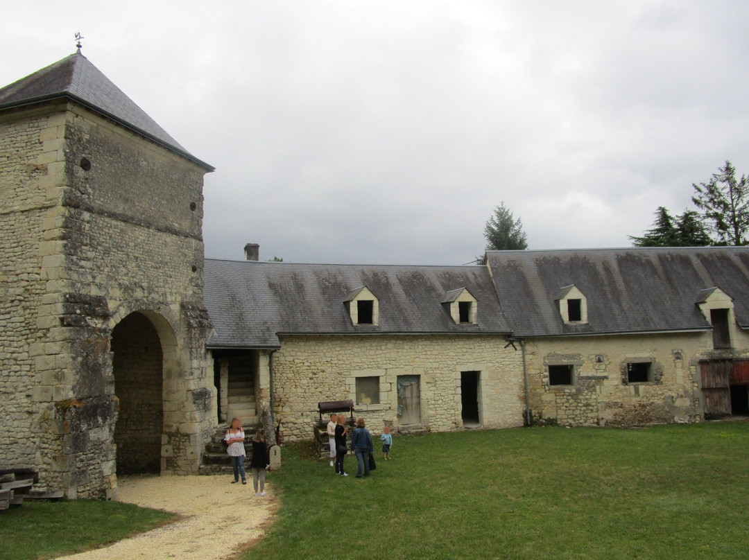 Chateau de Palluau-Frontenac-Palluau-sur-Indre必去景点