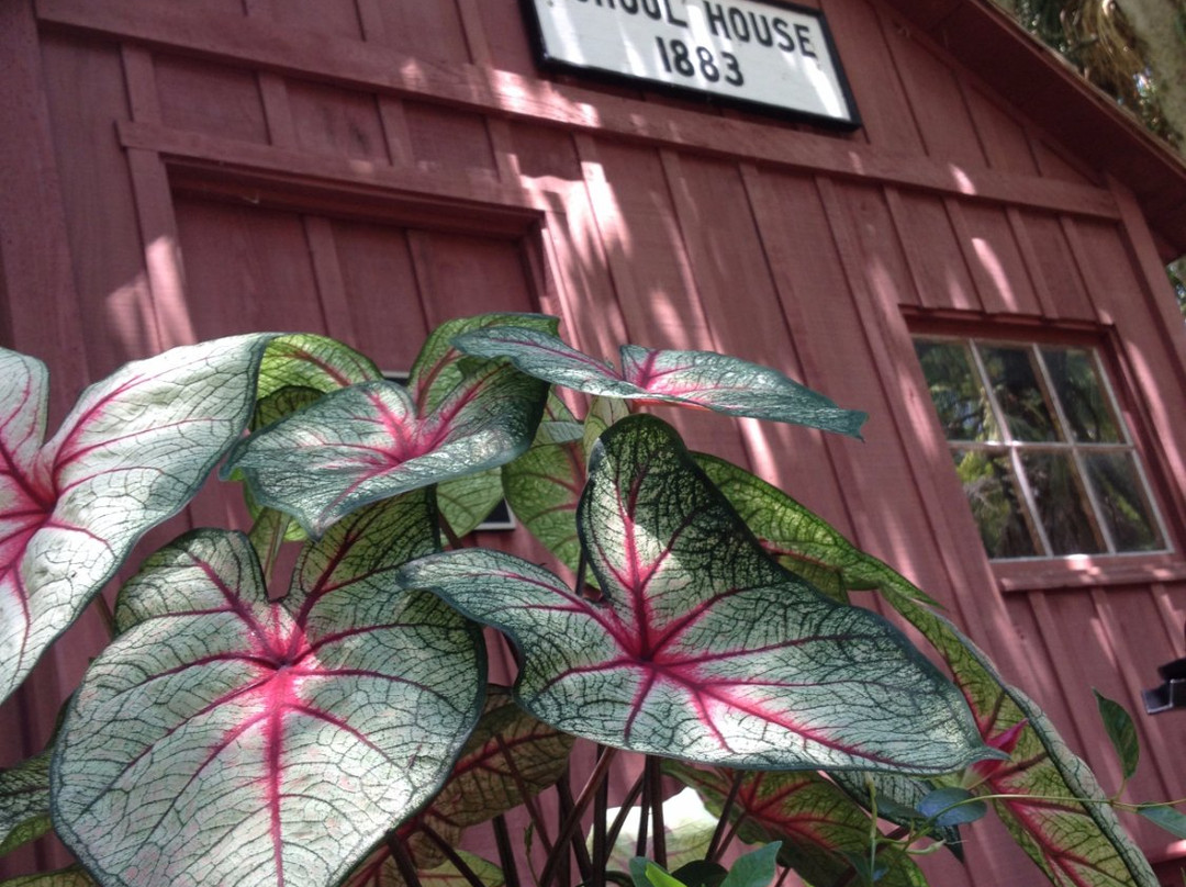 Florida Tech Botanical Garden-墨尔本必去景点