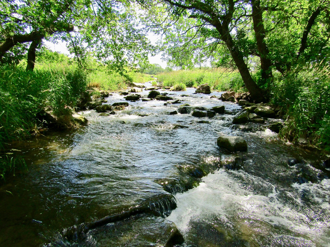 Circle Trail-Pipestone必去景点