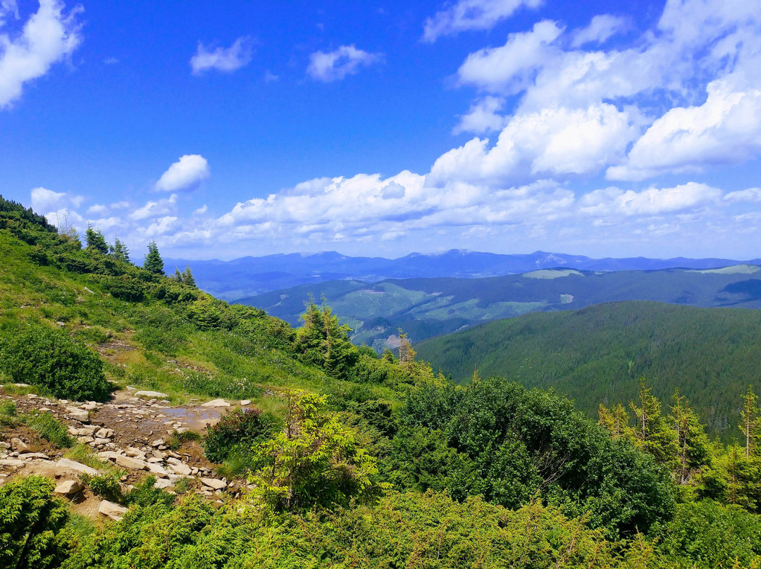 Yaremche旅游景点-Mount Hoverla