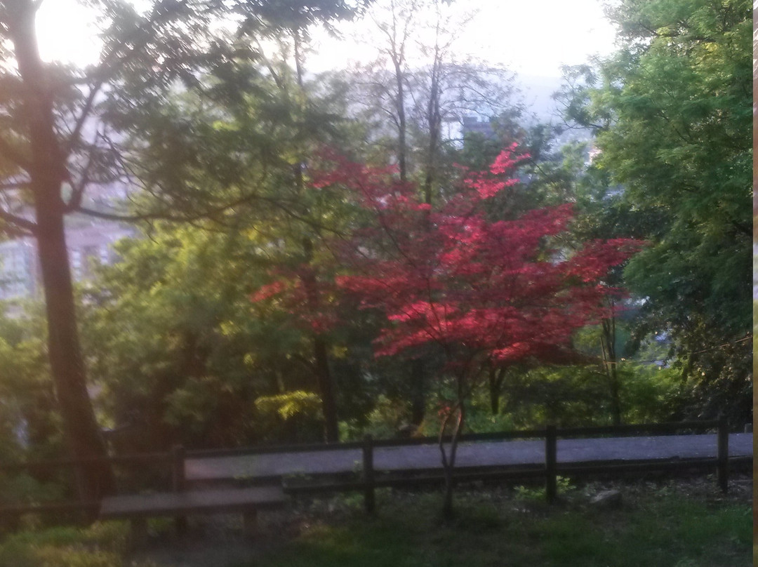 Parco Colline Moreniche di Castiglione景点图片