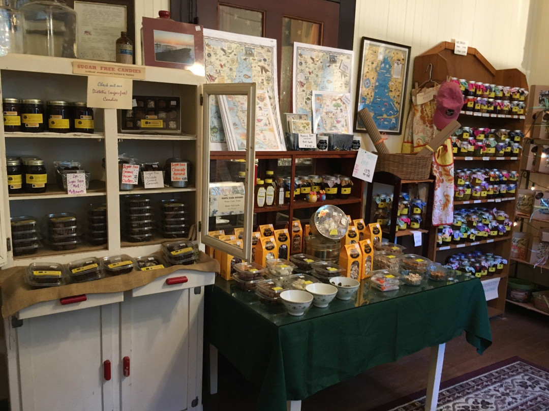 Punta Clara Kitchen-Point Clear必去景点