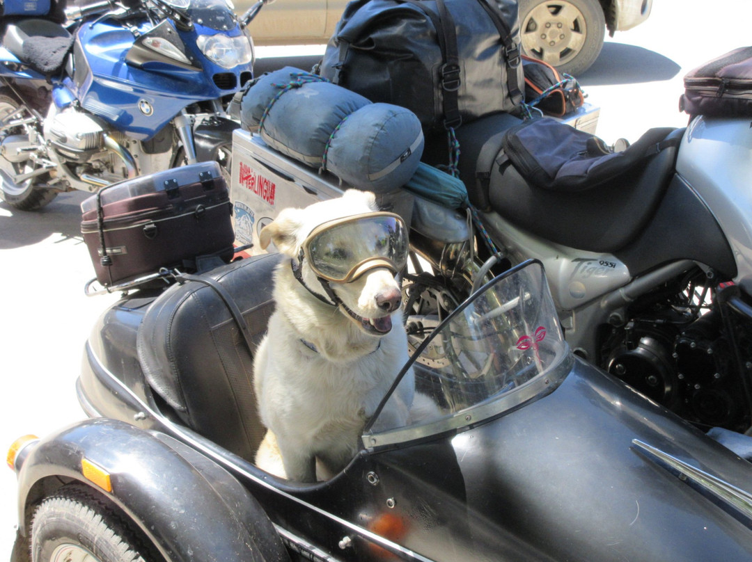 Dolores River Canyon-科尔特斯必去景点