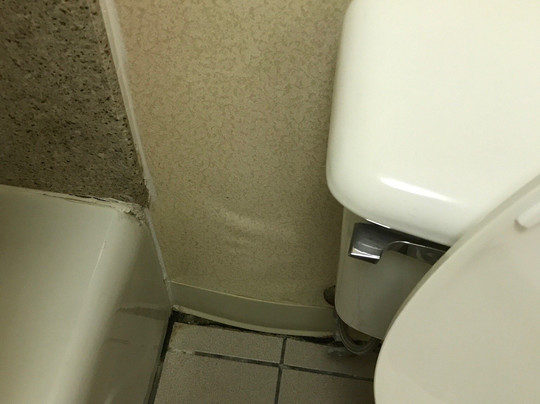 Econo Lodge Greeneville