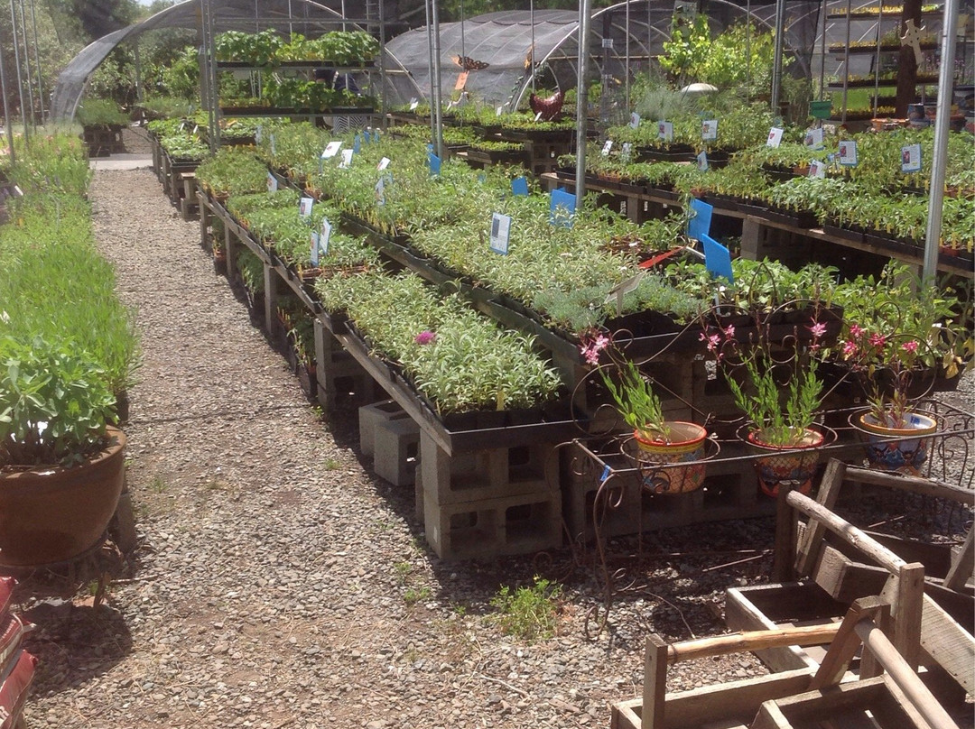 Morningsun Herb Farm-瓦卡维尔必去景点