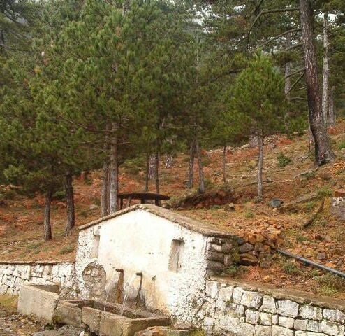 Parku Kombetar i Qafe Shtames-Kruje必去景点