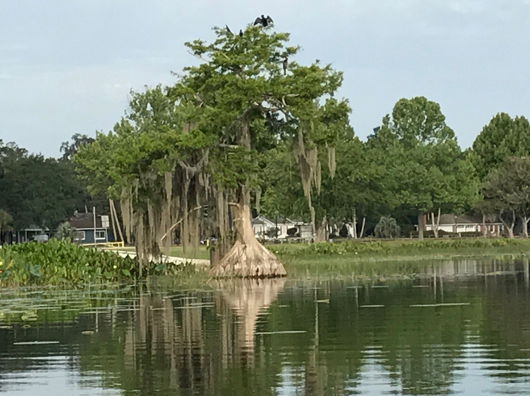 Kayaking Florida Waters景点图片
