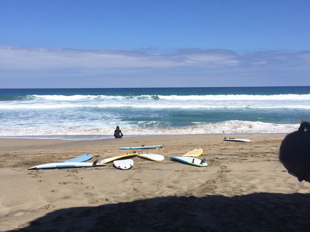 Adrenalin Surf School景点图片