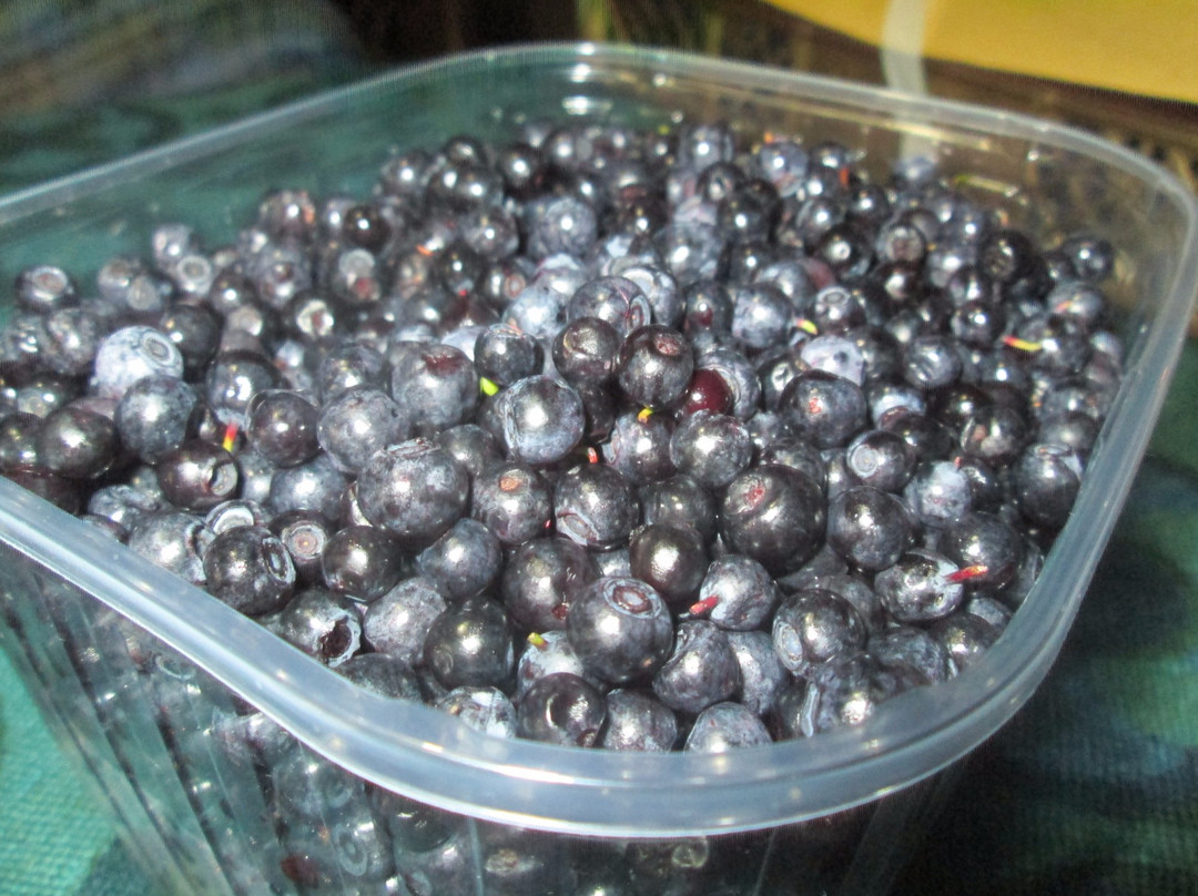 Capanna di Biagio-Sant'Annapelago必去景点