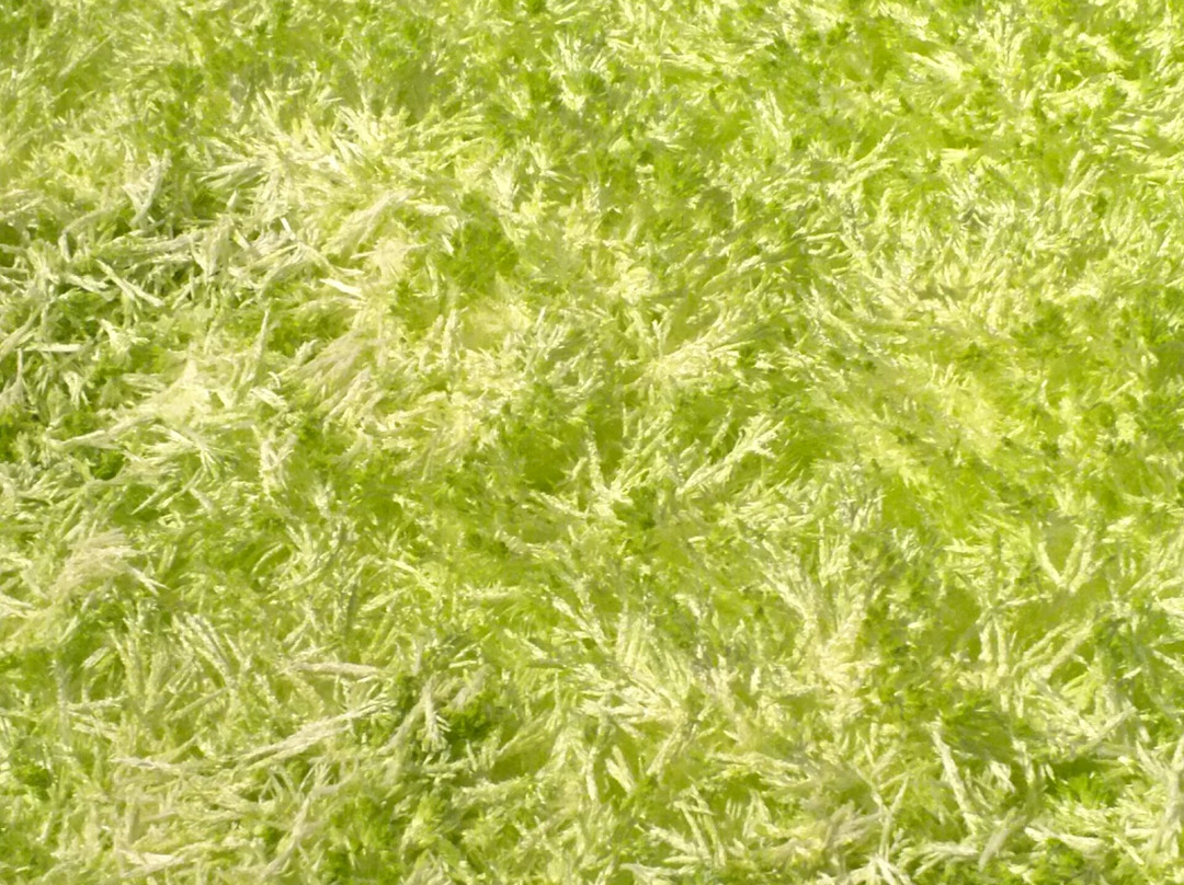 Musashino Art University-小平市必去景点