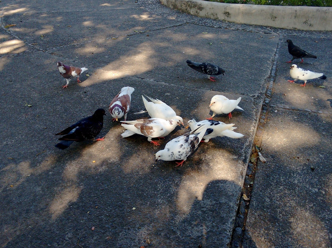 Jardin Nunez-Colima必去景点