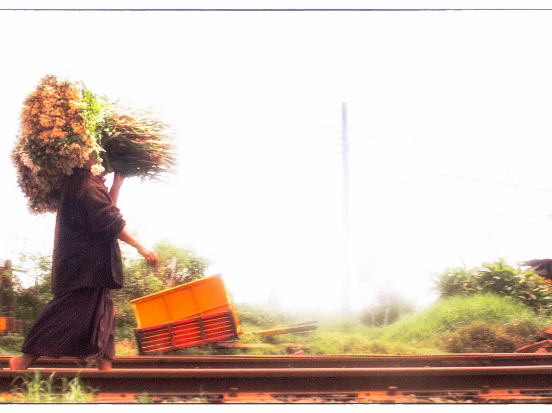 Hansali Reisen-加勒必去景点