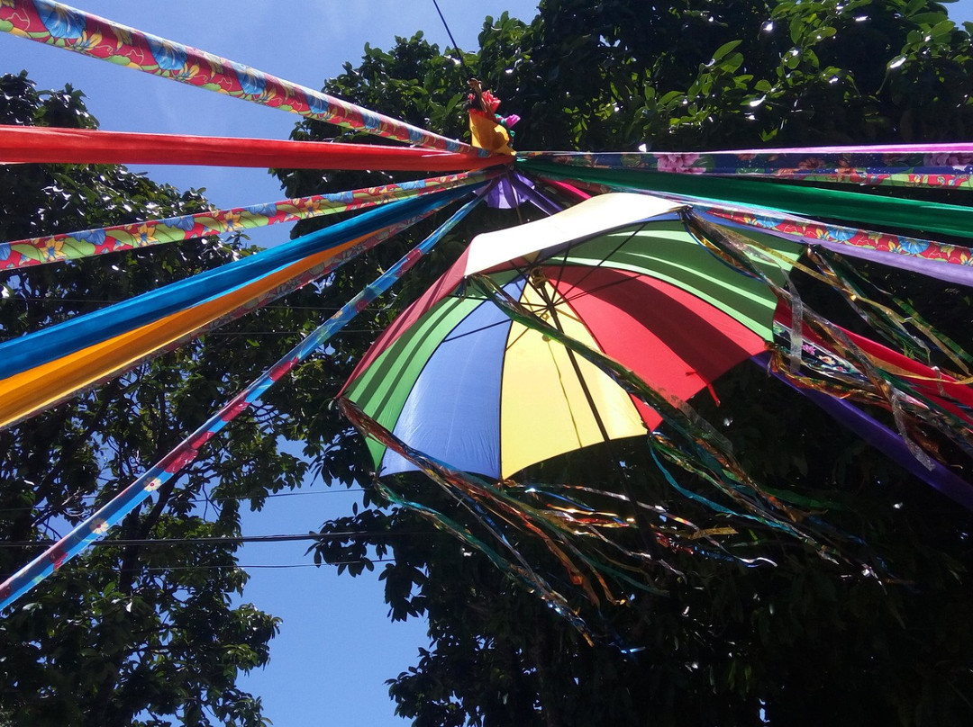 Mercado Da Boa Vista-累西腓必去景点