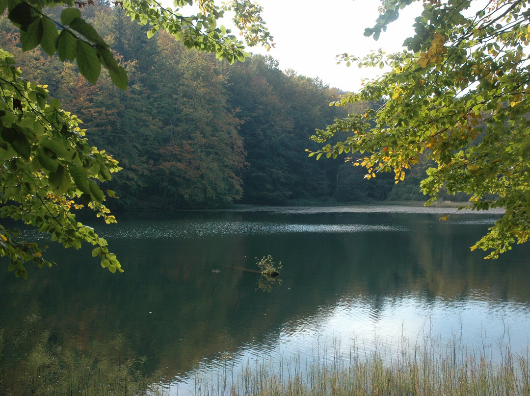 Nature reserve "Zwiezlo"景点图片