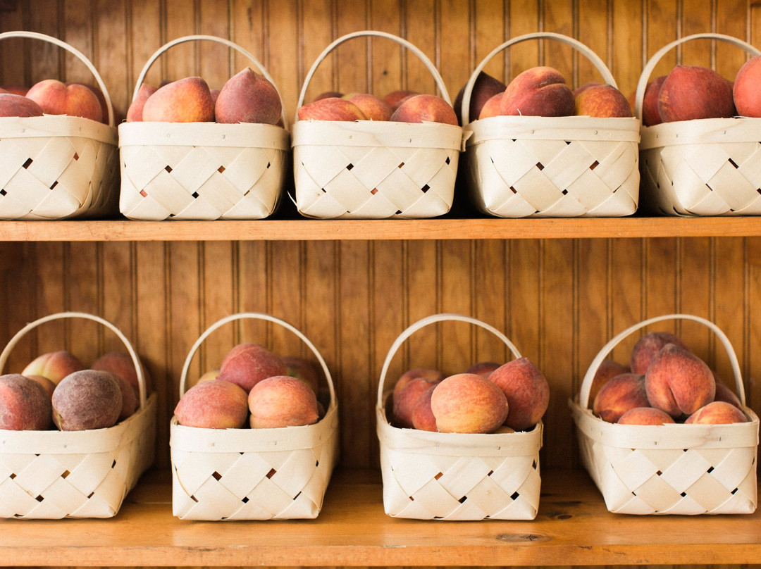 Dickey Farms-Musella必去景点