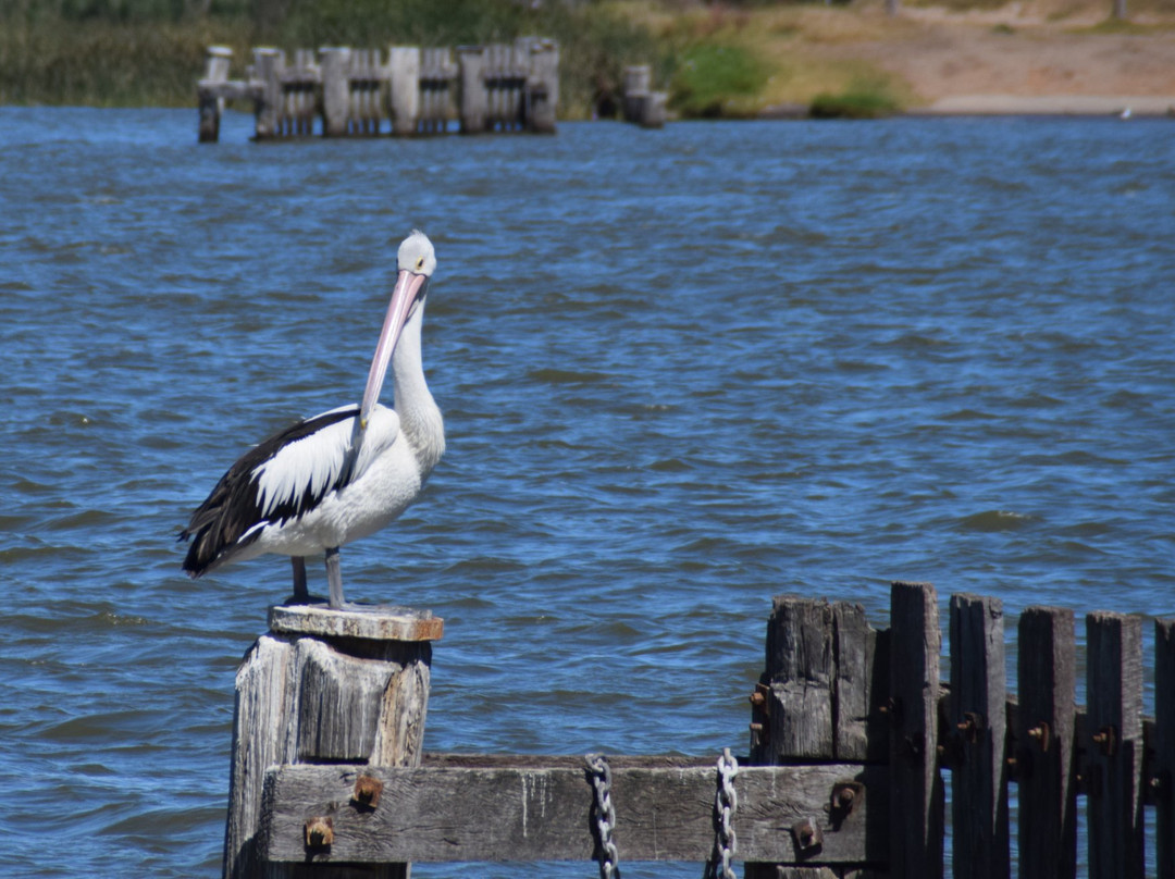Goolwa Historic Walk-Goolwa必去景点