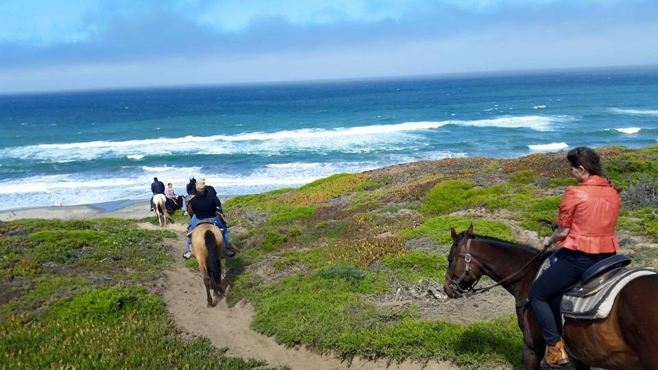 Mar Vista Stables-戴利城必去景点